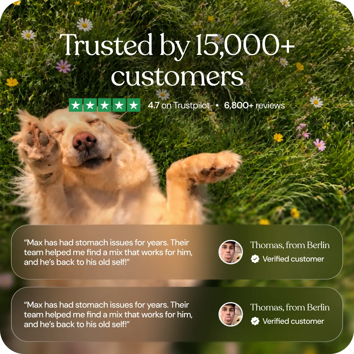 Trusted by customers, with reviews from dog owners